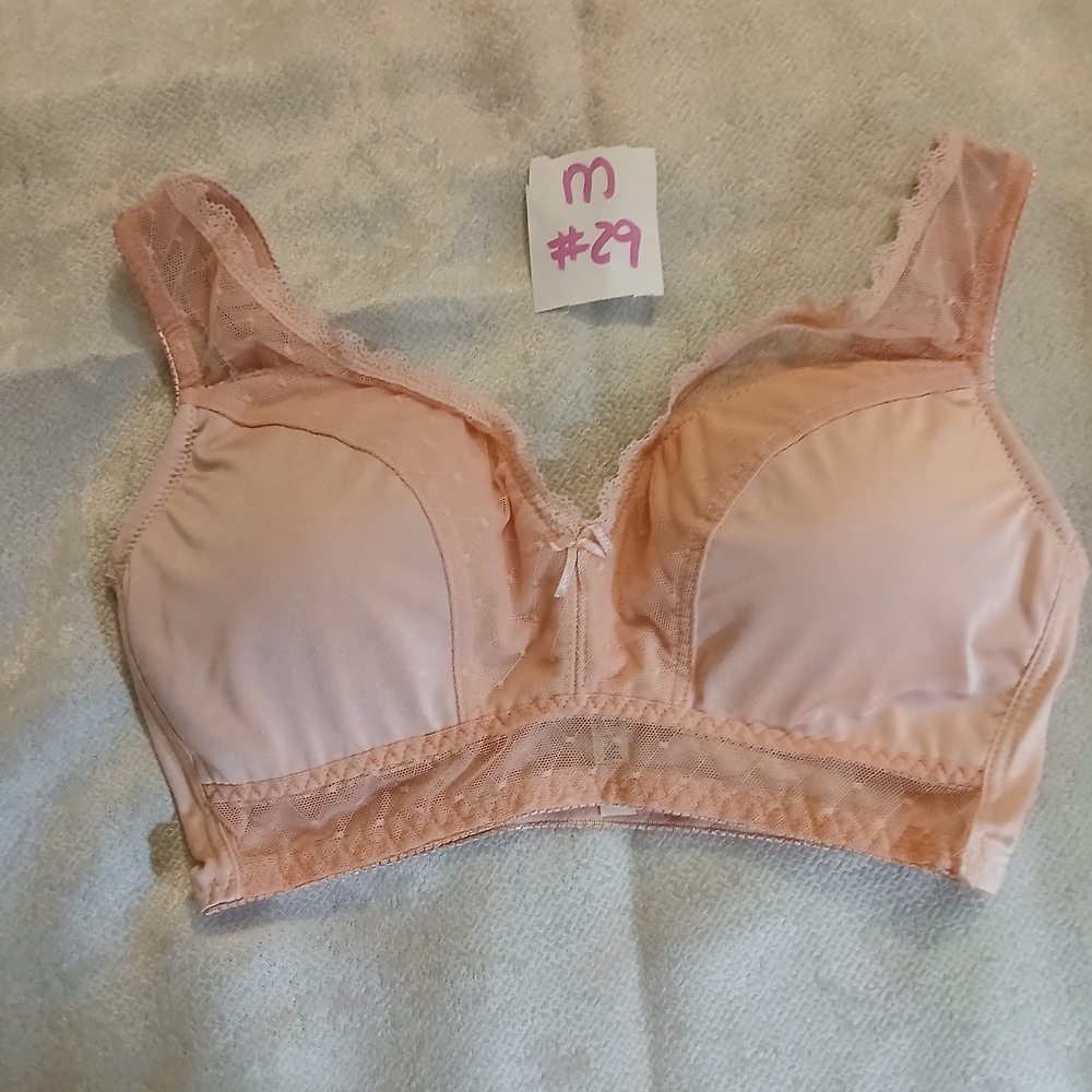 NWOT Rhonda Shear Blush Lace Bra